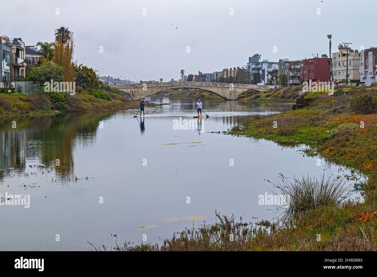 Le lagon de Ballona faisait autrefois partie du bassin hydrographique du ruisseau Ballona et était relié aux terres humides de Ballona avant que la plupart des terres humides ne soient de dred Banque D'Images