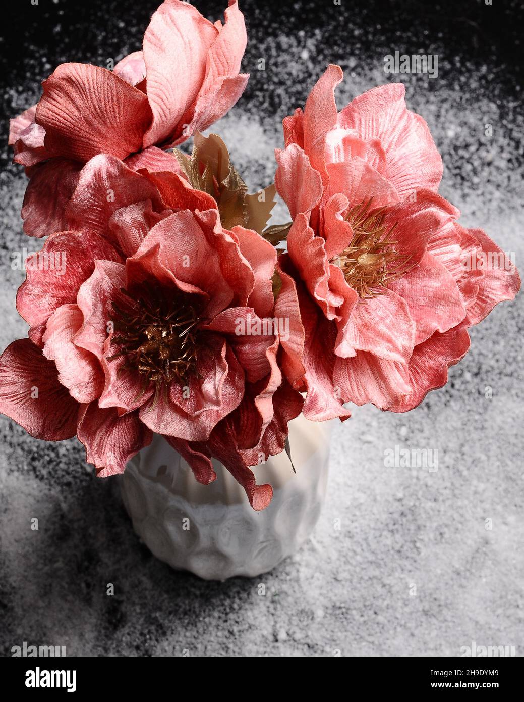 Bouquet tendre de fleurs roses dans un vase blanc sur fond noir.Décoration intérieure à motifs floraux.Concept d'hiver, fond enneigé.Saint-Valentin ou Noël Banque D'Images