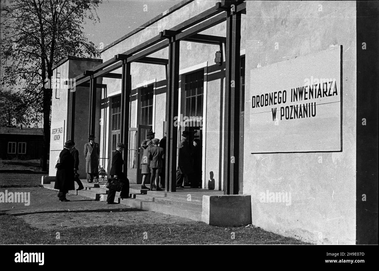 Poznañ, 1947-10.Ogólnokrajowa Wystawa Rolniczo-Ogrodnicza, W dniach 11-29 paŸdziernika, na terenie Miêdzynarodowych Targów Poznañskich.NZ. Ludzie wchodz¹ do pawilonu drobnego inwentarza Okrêgowego Zwi¹zku Hodowców. mb/gr PAP Dok³adny dzieñ wydarzenia nieustalony.Poznan, octobre 1947.Exposition agricole nationale tenue le 11-29 octobre sur les lieux de la foire internationale de Poznan.Photo: Visiteurs entrant dans le petit pavillon animal de l'Union Breedeor District. mb/gr PAP Banque D'Images
