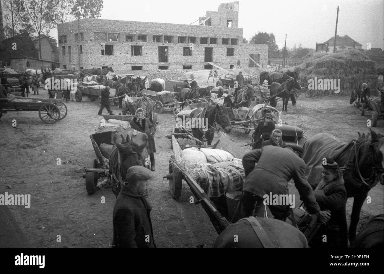 Grodzisk Mazowiecki, 1947-10.Rolnicy z powiatu grodziskiego przy punkcie skupu zbo¿a.Przywiezionym zbo¿em p³ac¹ podatek gruntowy. mb/gr PAP Dok³adny dzieñ wydarzenia nieustalony.Grodzisk Mazowiecki, octobre 1947.Les agriculteurs de Grodzisk powiat à un point d'achat de céréales.Les agriculteurs paient une taxe foncière avec le grain. mb/gr PAP Banque D'Images