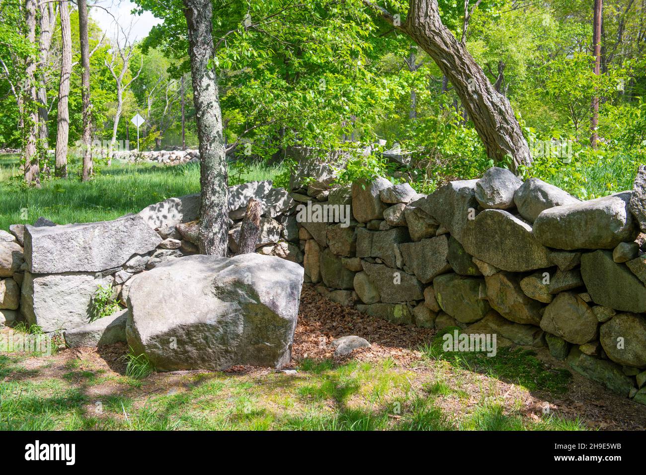 Battle Road Trail au printemps dans le parc national historique de minute Man, dans la ville de Lincoln, Massachusetts, États-Unis. Banque D'Images