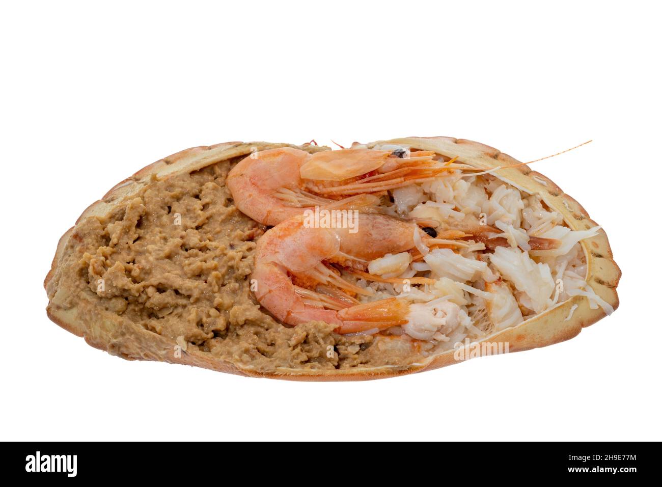 Crabe traditionnel habillé servi dans sa coquille - fond blanc Banque D'Images