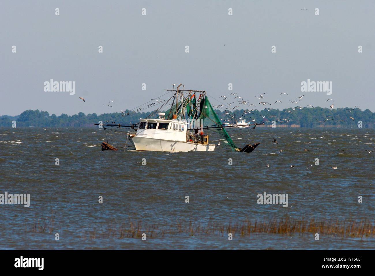 Un bateau à crevettes trouvé le long de la côte de l'île Fripp, Caroline du Sud, États-Unis. Banque D'Images