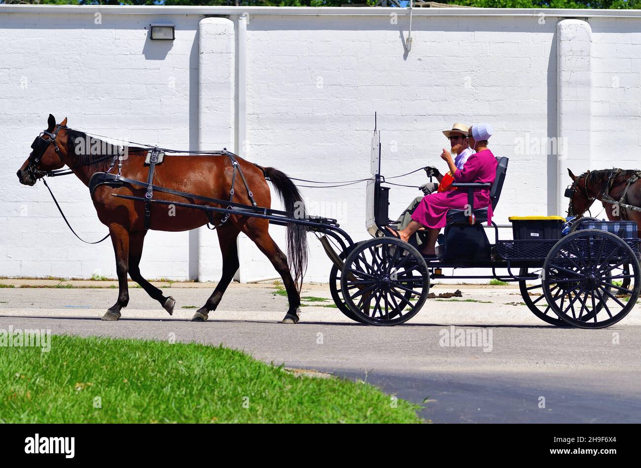 Lagrange, Indiana, États-Unis.Après avoir fait du shopping, un couple Amish rentre à la maison dans leur calèche ou en buggy dans une petite communauté du nord-est de l'Indiana. Banque D'Images