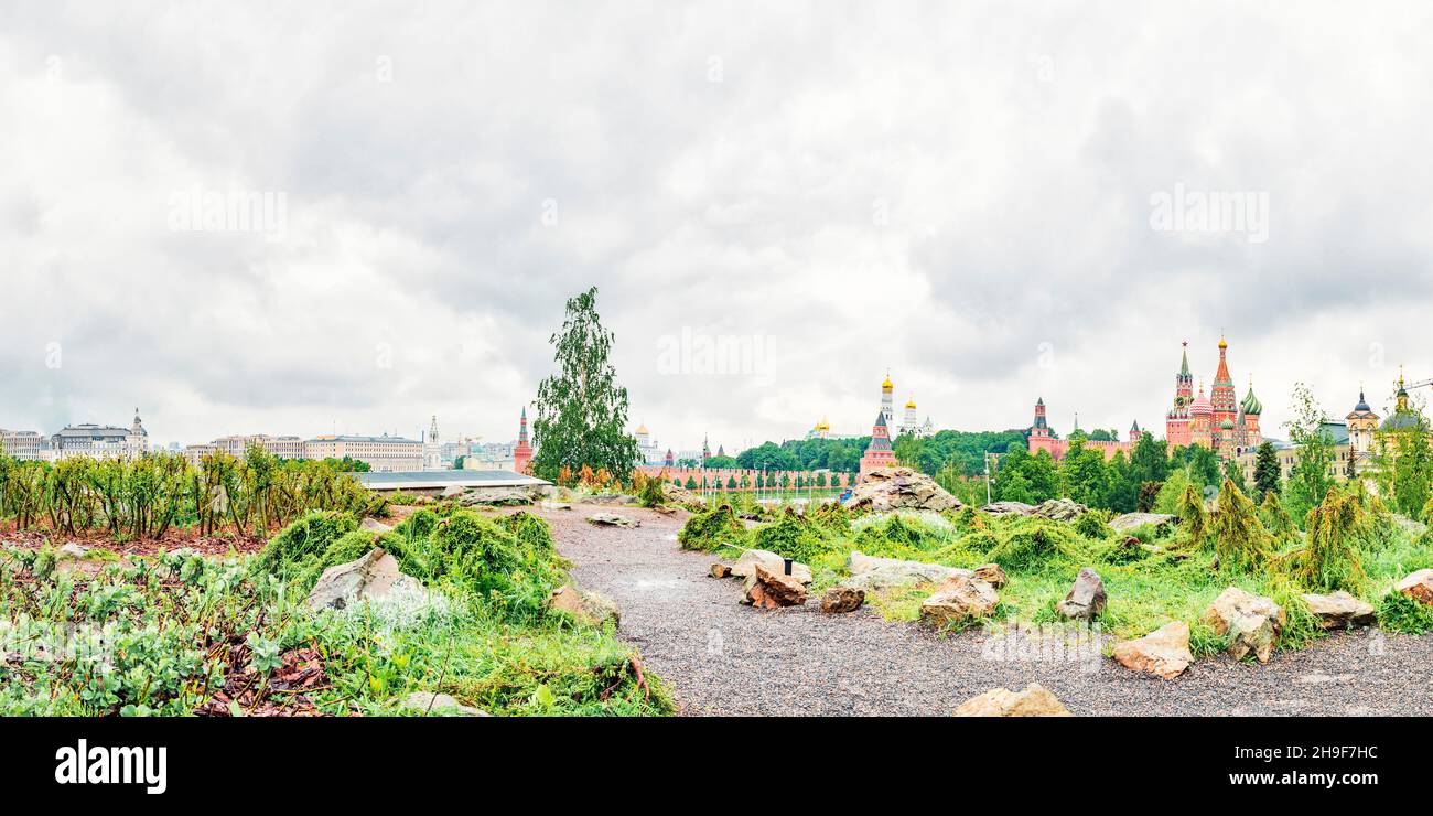 Pierres, mousses, lichens, herbes et arbres dans le centre de Moscou dans le parc Zaryadye Banque D'Images