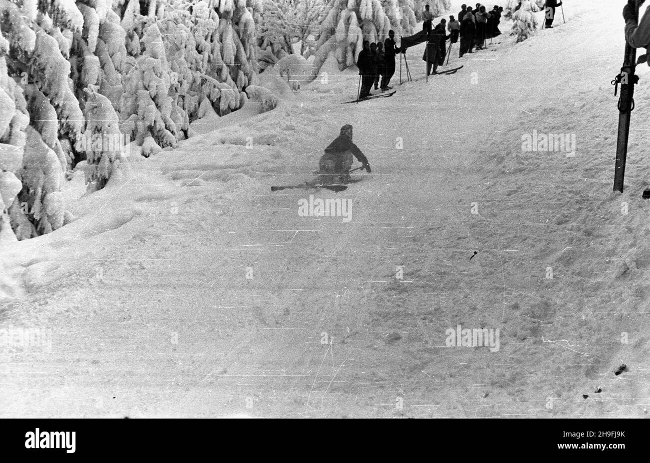 Karpacz, 1948-02-19.W dniach od 18 DO 22 lutego odbywa³y siê Mistrzostwa Narciarskie Polski.NZ. Upadek zawodnika na trasie biegu zjazdowego rozgrywanego na stokach Ma³ej Kopy pod Œnie¿k¹. msa PAPKarpacz, 19 février 1948.Le championnat de ski de Pologne a eu lieu du 18 au 22 février.Photo : un skieur tombe pendant une course de descente sur Mala KOPA au pied de Sniezka. msa PAP Banque D'Images