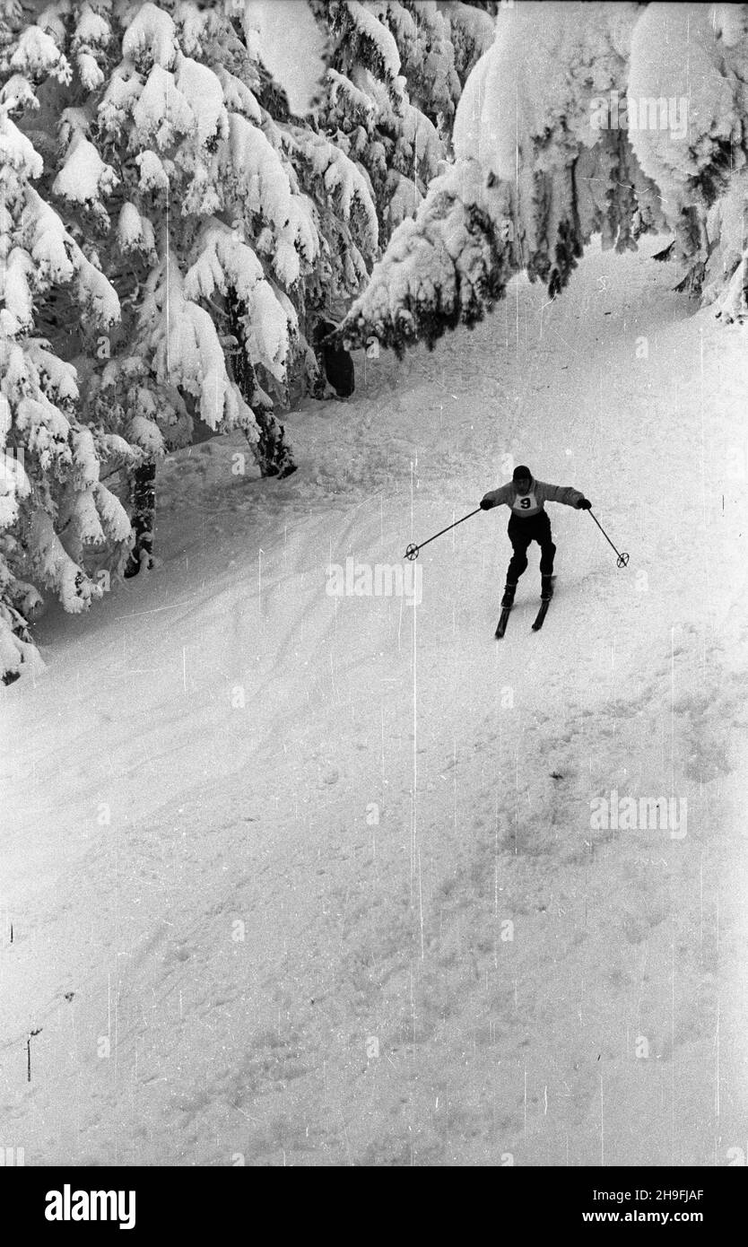 Karpacz, 1948-02-19.W dniach od 18 DO 22 lutego odbywa³y siê Mistrzostwa Narciarskie Polski.NZ. Bieg zjazdowy rozgrywany na stokach Ma³ej Kopy pod Œnie¿k¹. msa PAPKarpacz, 19 février 1948.Le championnat de ski de Pologne a eu lieu du 18 au 22 février.Photo : une course de descente sur Mala KOPA au pied de Sniezka. msa PAP Banque D'Images