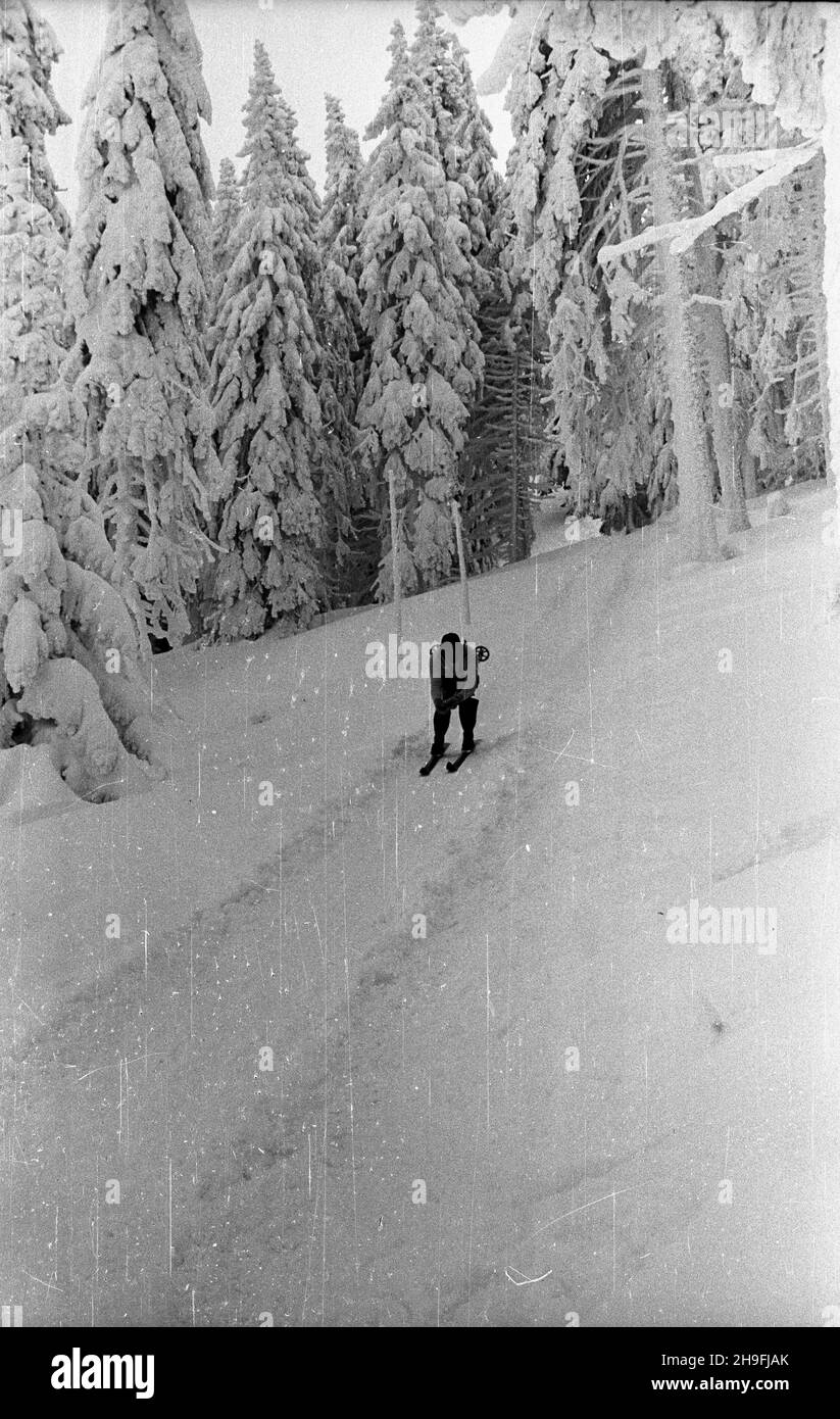 Karpacz, 1948-02-19.W dniach od 18 DO 22 lutego odbywa³y siê Mistrzostwa Narciarskie Polski.NZ. Bieg zjazdowy rozgrywany na stokach Ma³ej Kopy pod Œnie¿k¹. msa PAPKarpacz, 19 février 1948.Le championnat de ski de Pologne a eu lieu du 18 au 22 février.Photo : une course de descente sur Mala KOPA au pied de Sniezka. msa PAP Banque D'Images