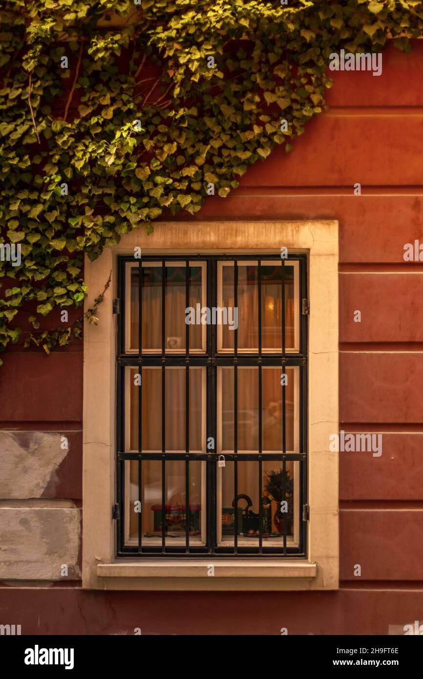 Plan vertical d'une fenêtre fermée d'un ancien bâtiment Banque D'Images