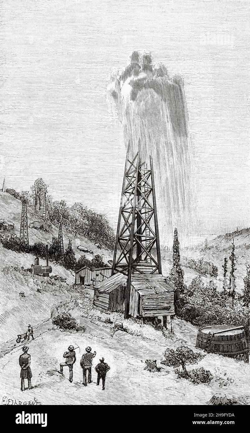 Huile bien versant.Ancienne illustration gravée du XIXe siècle de la nature 1885 Banque D'Images