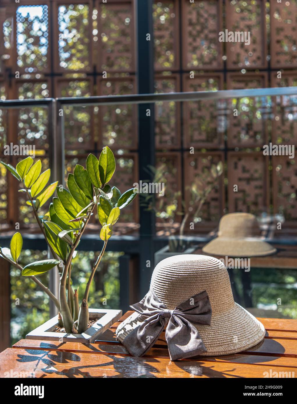 Chapeau d'été près de l'arbre de pierres de Zanzibar sur une chaise de détente en bois pour les vacances de fond.Mise au point sélective. Banque D'Images