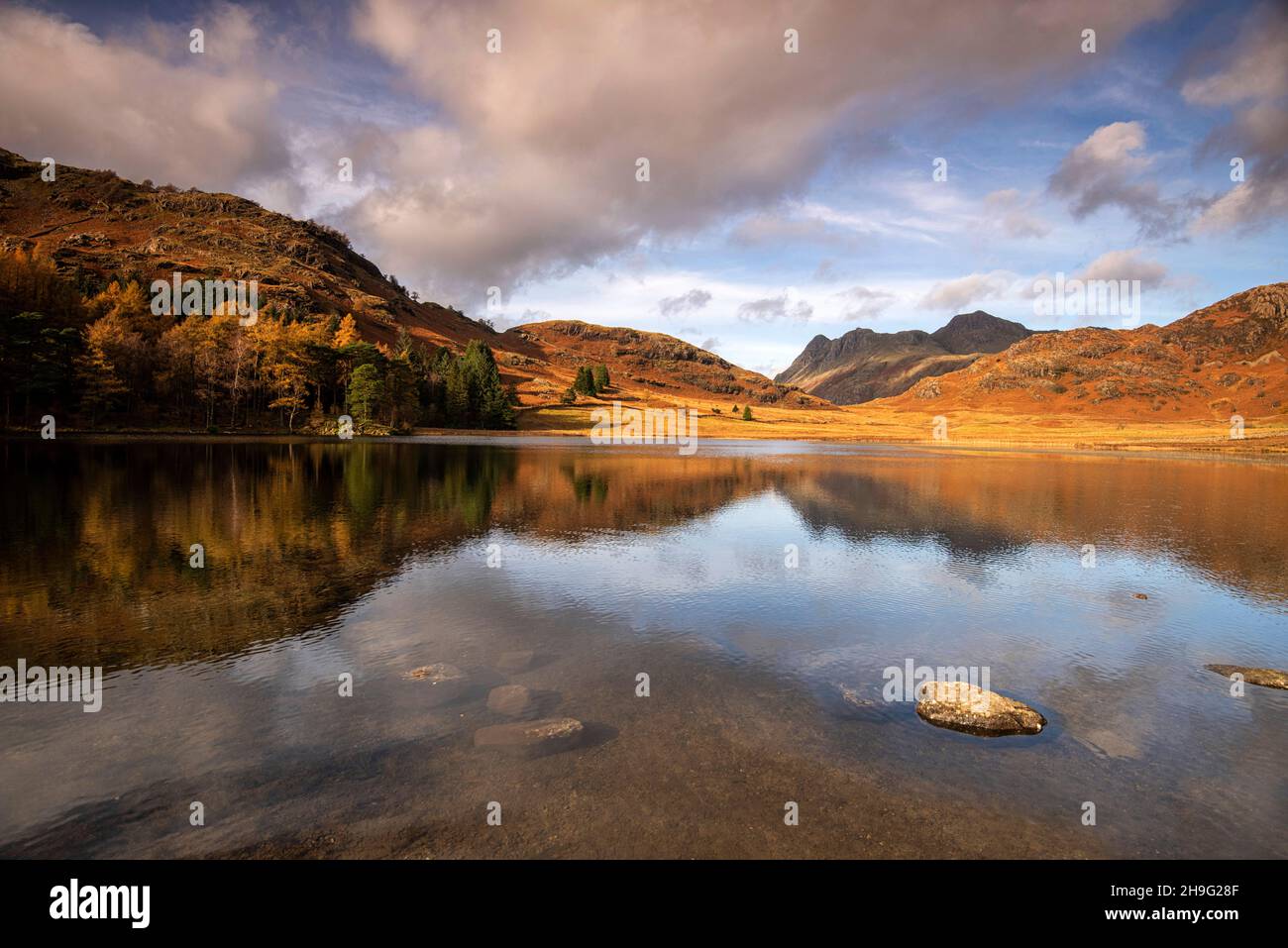 Réflexions d'automne à Blea Tarn dans le Lake District, Cumbria Angleterre Royaume-Uni Banque D'Images