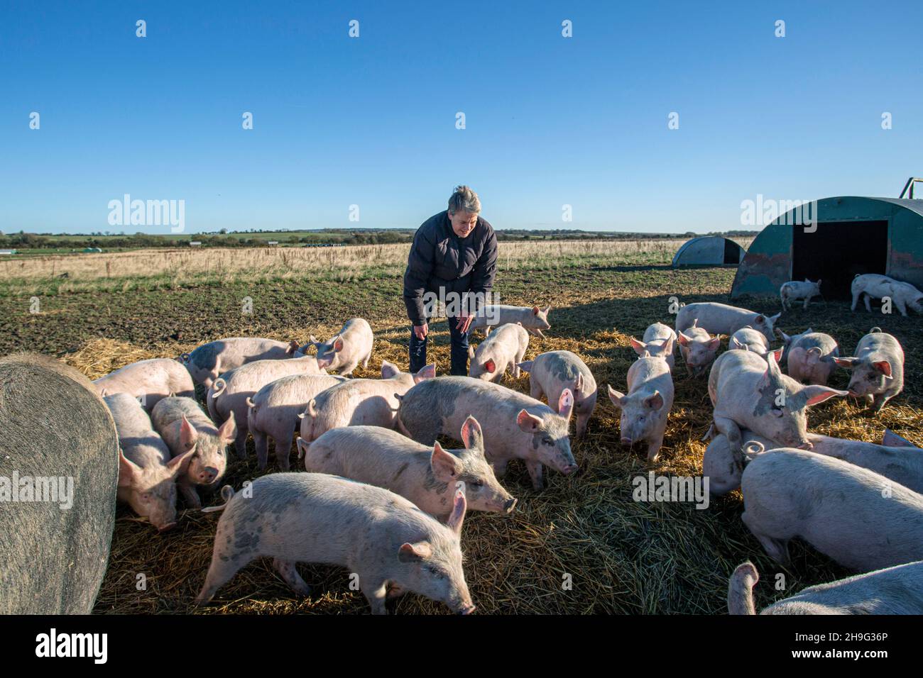 HELEN BROWNING Chef de la direction de la Soil Association et éleveur de porcs biologiques à la ferme Eastbrook Bishopstone, Royaume-Uni Banque D'Images