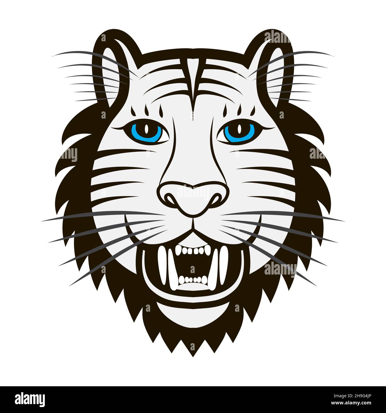 Tête de tigre noir et blanc.Museau avec yeux bleus et bouche ouverte.De grandes fangs dans la bouche.Predator regarde droit devant.Tigre bleu.Symbole de Chine Illustration de Vecteur