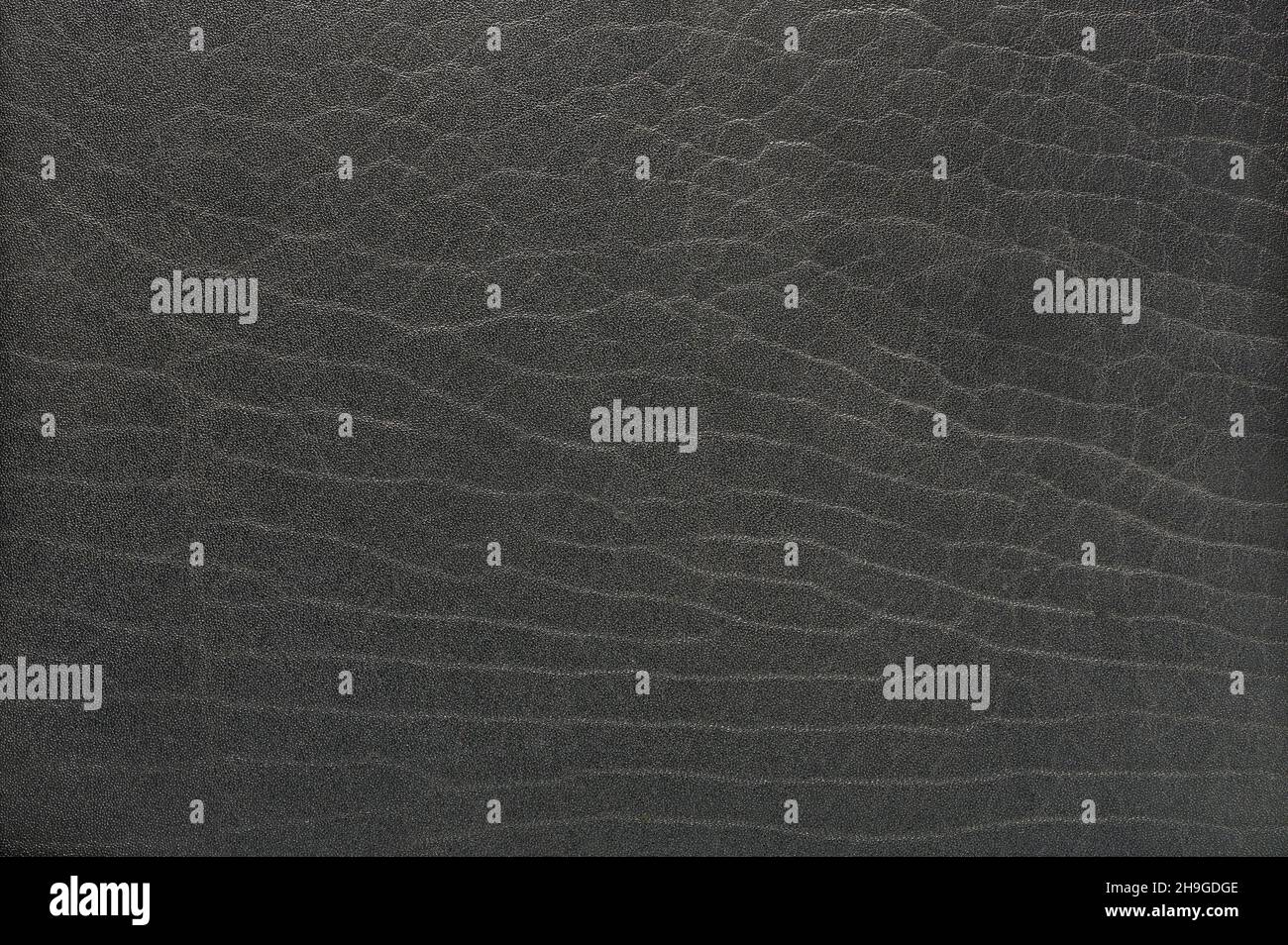 Texture cuir gris plat macro vue rapprochée.Arrière-plan peau sombre Banque D'Images