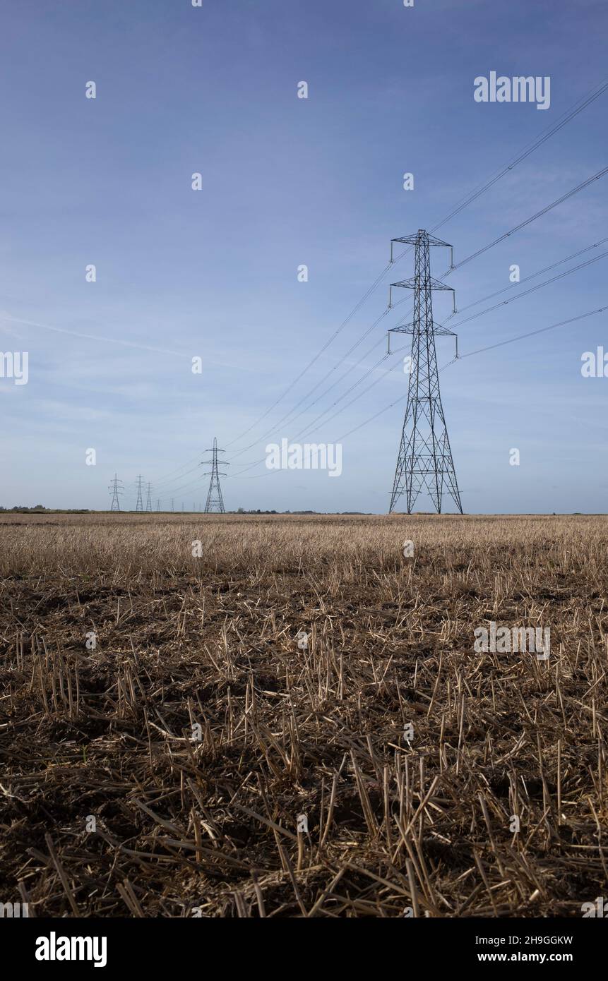 Électricité lignes électriques de pylône s'étendant sur le paysage anglais du Kent près de Graveney à l'extérieur de Faversham Banque D'Images