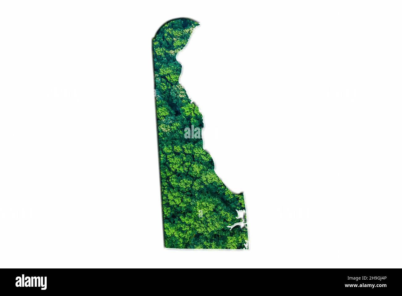 Carte de la Forêt verte du Delaware, sur fond blanc Banque D'Images