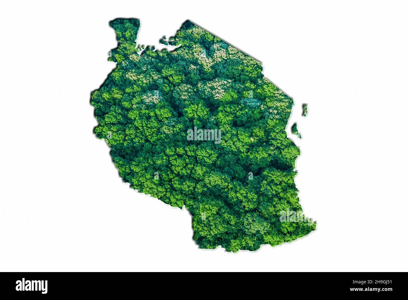 Carte de la Forêt verte de Tanzanie, sur fond blanc Banque D'Images