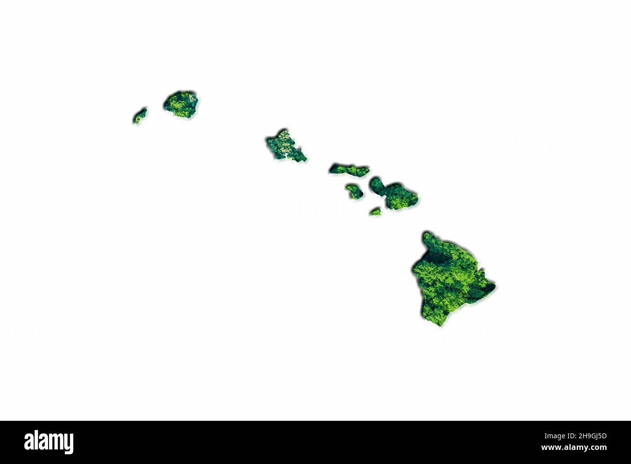 Carte de la Forêt verte d'Hawaï, sur fond blanc Banque D'Images