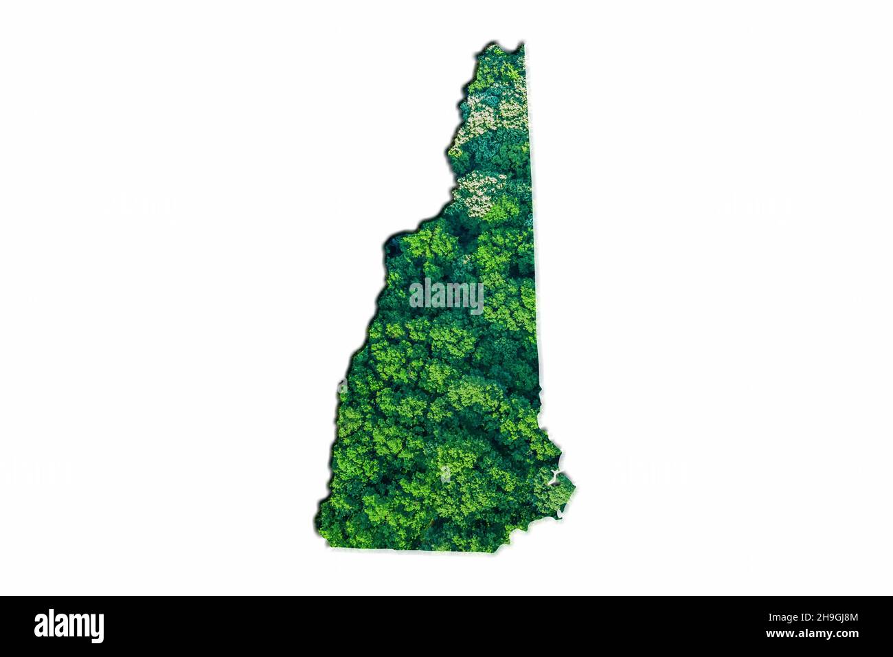 Carte de la Forêt verte du New Hampshire, sur fond blanc Banque D'Images