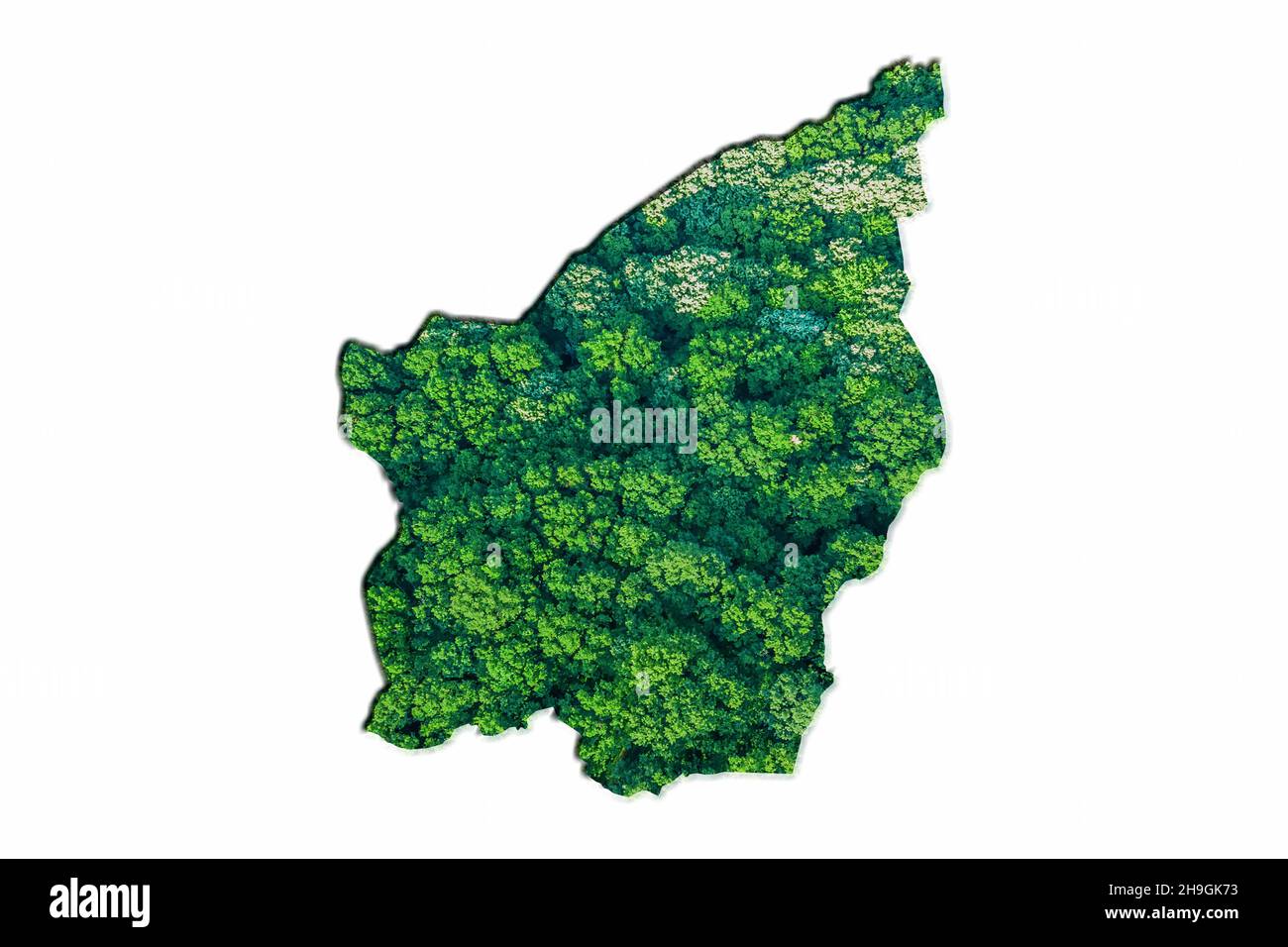 Carte de la Forêt verte de Saint-Marin, sur fond blanc Banque D'Images