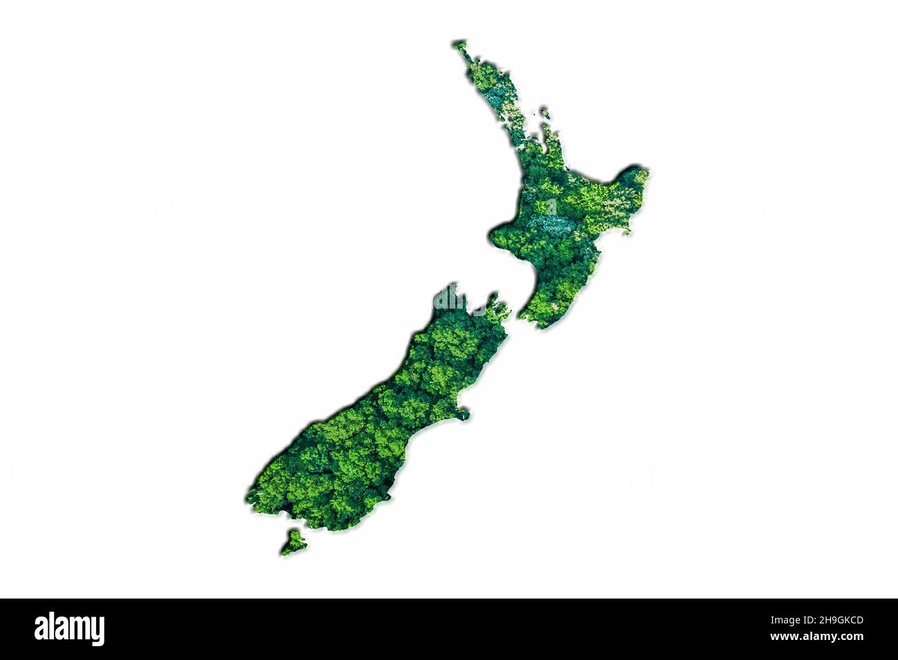 Carte de la Forêt verte de la Nouvelle-Zélande, sur fond blanc Banque D'Images