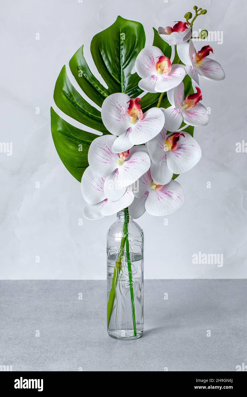 Bouquet de fleurs dans un vase, orchidées blanches dans une bouteille de verre sur une table grise.Décoration intérieure.Fleurs encore nature, carte de vœux, compos d'été Banque D'Images