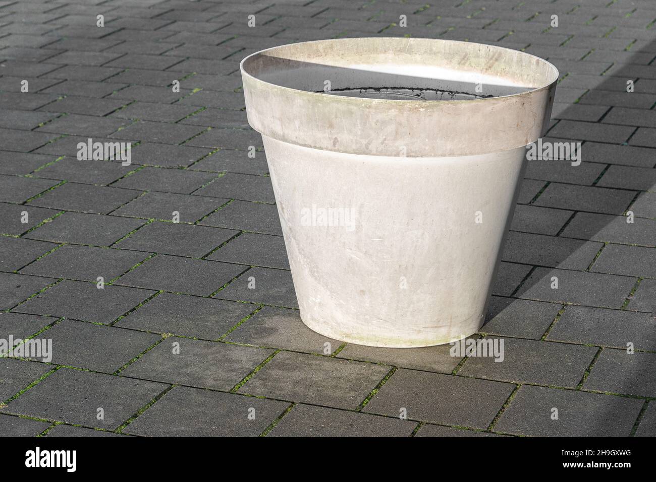 grand pot de fleurs de crème dans la rue Banque D'Images