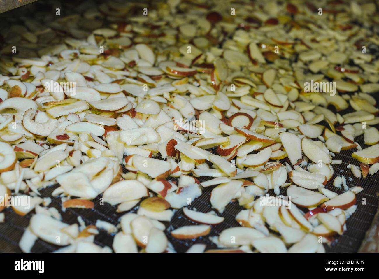 Tranchez les pommes sur un tapis roulant dans une usine de transformation des aliments.Fruits sains, production alimentaire et concept automatisé de l'industrie alimentaire. Banque D'Images