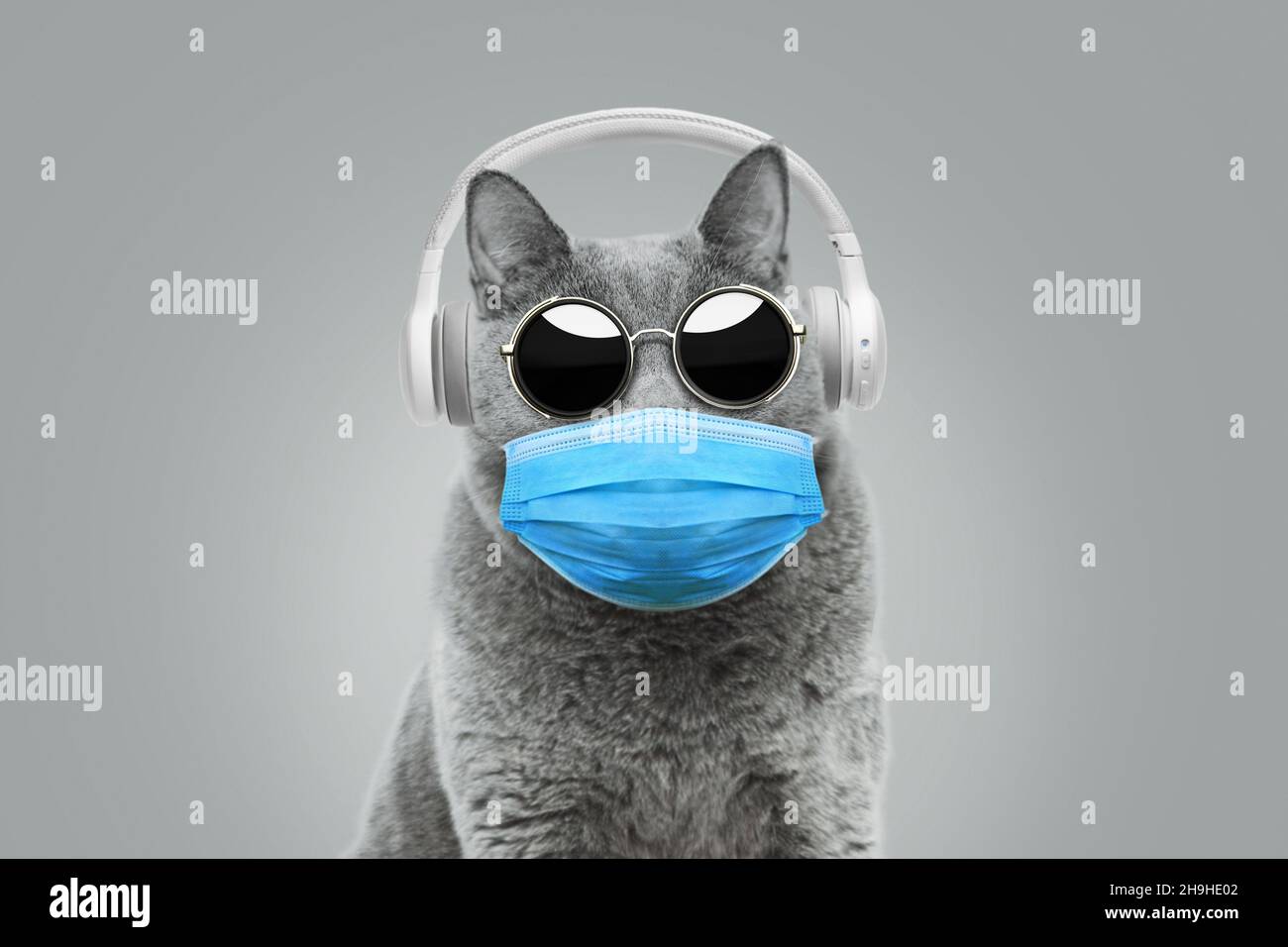 chat hipster drôle avec des lunettes de soleil dans un masque médical  écoute la musique avec des écouteurs blancs.Concept de pandémie et de  coronavirus.Idée créative du virus p Photo Stock - Alamy