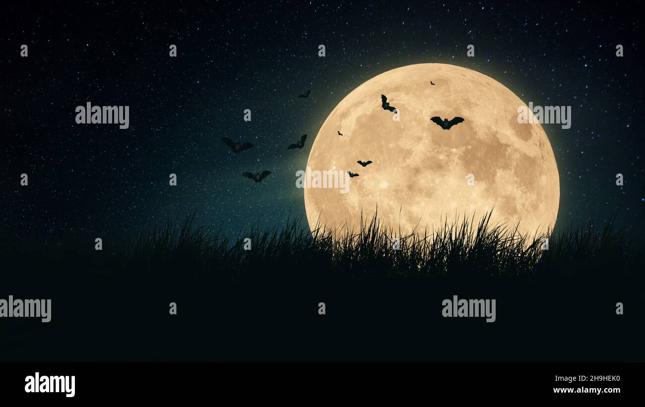 Grande lune effrayante avec des chauves-souris dans un champ d'herbe la nuit.Papier peint Halloween Banque D'Images