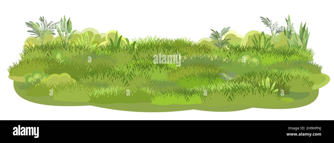 Glade verte.Pré d'été.Gros plan sur l'herbe juteuse.Herbage.Placer sur le champ.Pâturage.Isolé sur fond blanc.Style de dessin animé.Conception plate Illustration de Vecteur