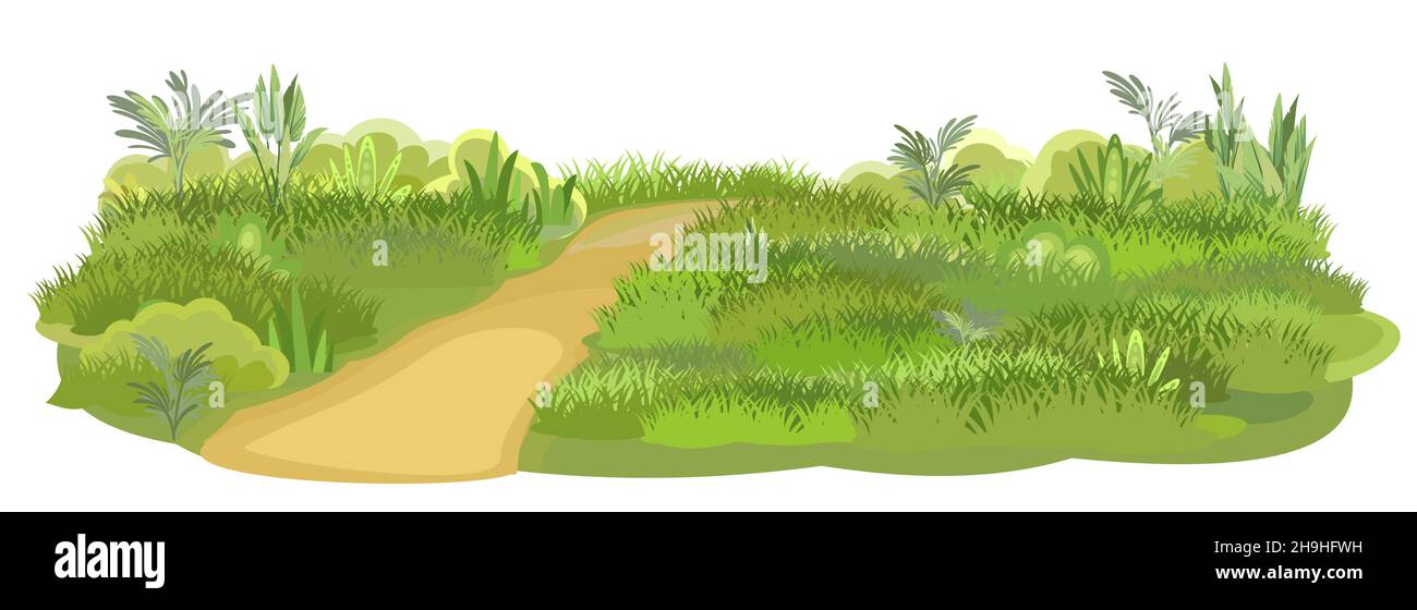 Route rurale oblique à Green pelouse Glade.Pré d'été.Piste.Gros plan sur l'herbe juteuse.Herbage.Voyage à la campagne.Isolé.Style de dessin animé.Conception plate Illustration de Vecteur