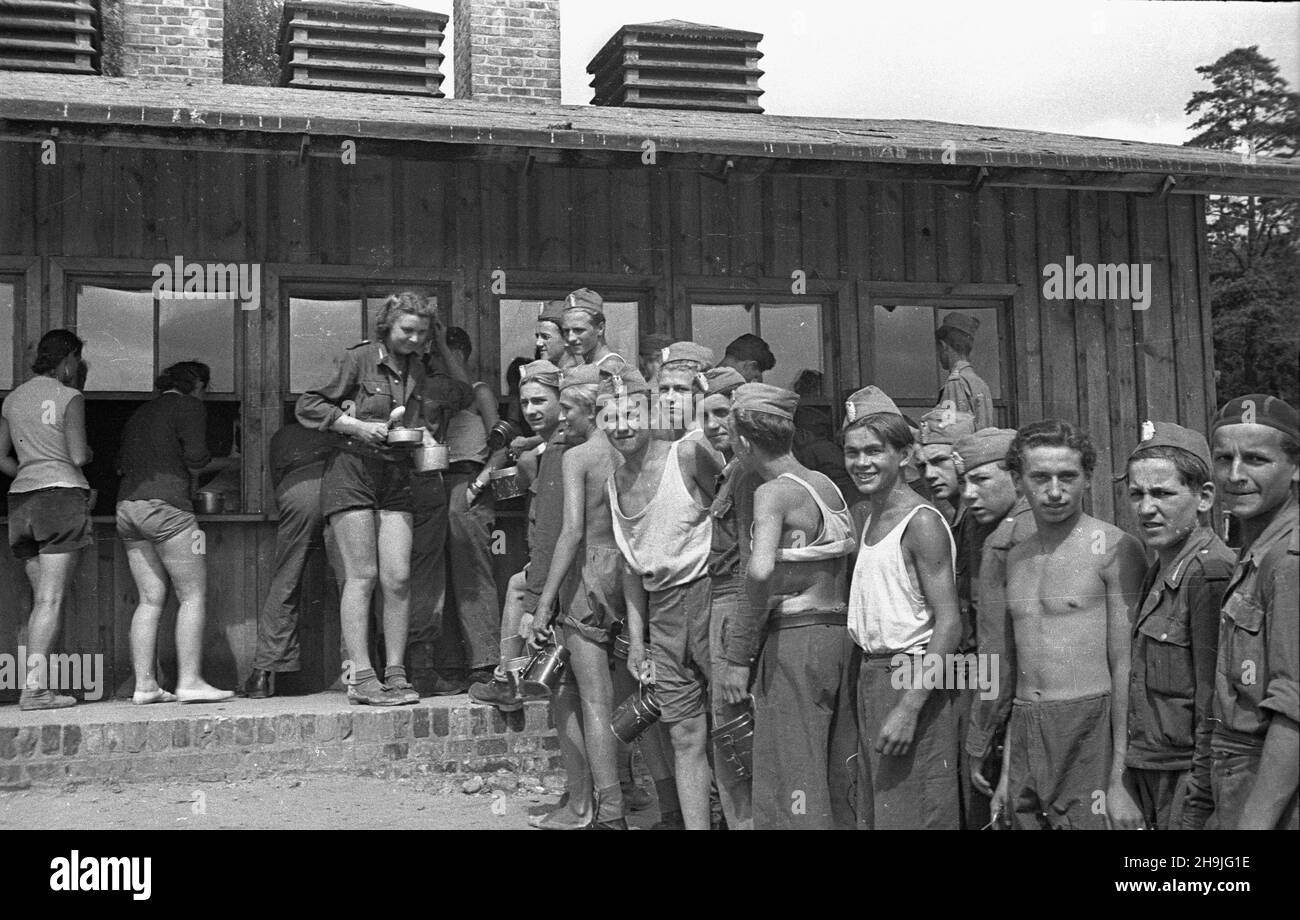 Gdynia, 1948-08.Dzielnica Or³owo.Oóz Powszechnej Organizacji S³u¿ba Polsce, W którym odpoczywaj¹ studenci z czechos³owackiej brygady pracy, pomagaj¹cy przy budowie autostrady Gdañsk-Gdynia. ka PAP Dok³adny dzieñ wydarzenia nieustalony.Gdynia, août 1948.Le quartier Orlobo.Un camp de l'organisation de masse Sluzba Polsce (Service to Poland - SP), un site de repos pour les étudiants de la section ouvrière tchécoslovaque qui participent à la construction de l'autoroute Gdansk-Gdynia. ka PAP Banque D'Images