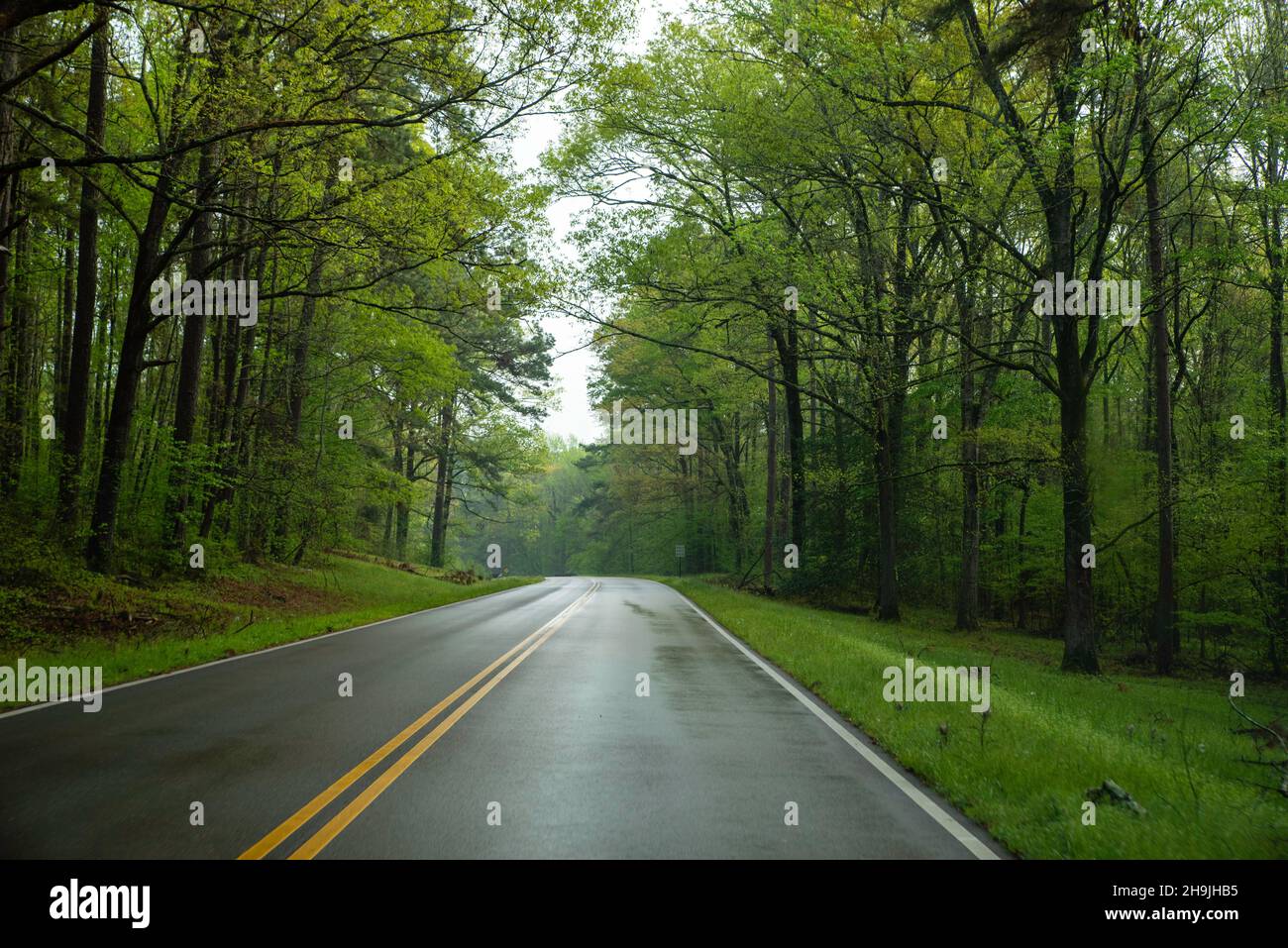 Le long de la Natchez Trace Parkway, près de Port Gibson, Mississippi, États-Unis. Banque D'Images