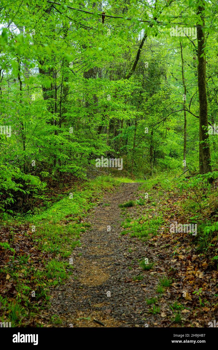 Rocky Springs, un site de ville abandonné, le long de la Natchez Trace Parkway, Mississippi, États-Unis. Banque D'Images