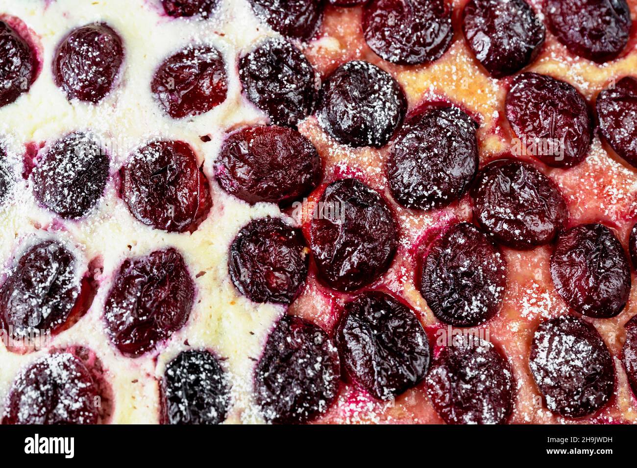 Détail de tarte aux prunes fraîchement cuite avec caillé, gros plan. Banque D'Images