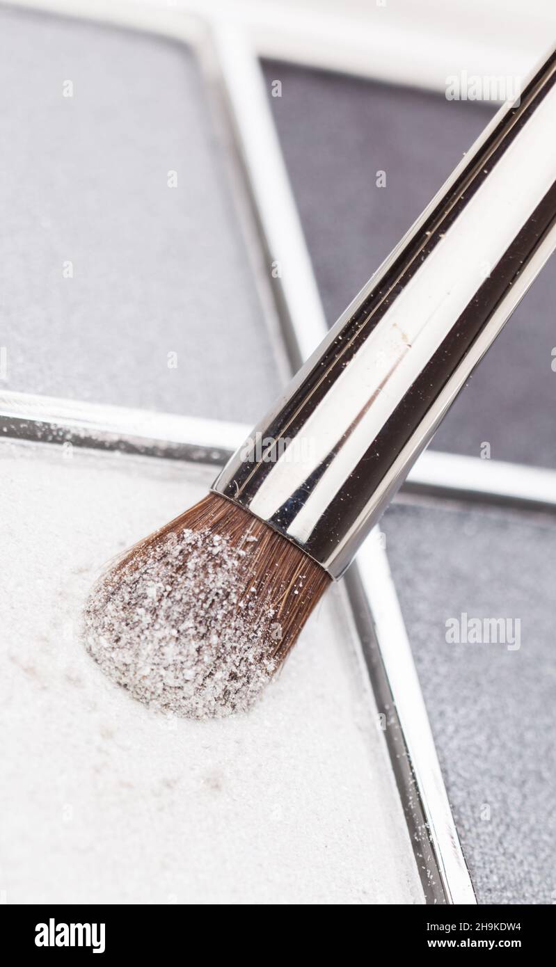 Pinceau, gris, ombre à paupières, couleur, poudre,Détail, Macro, cheveux, maquillage, nuage,poussière en vrac, argent, fin, grains minuscules de poussière, un, maquillage, accessoires, f Banque D'Images