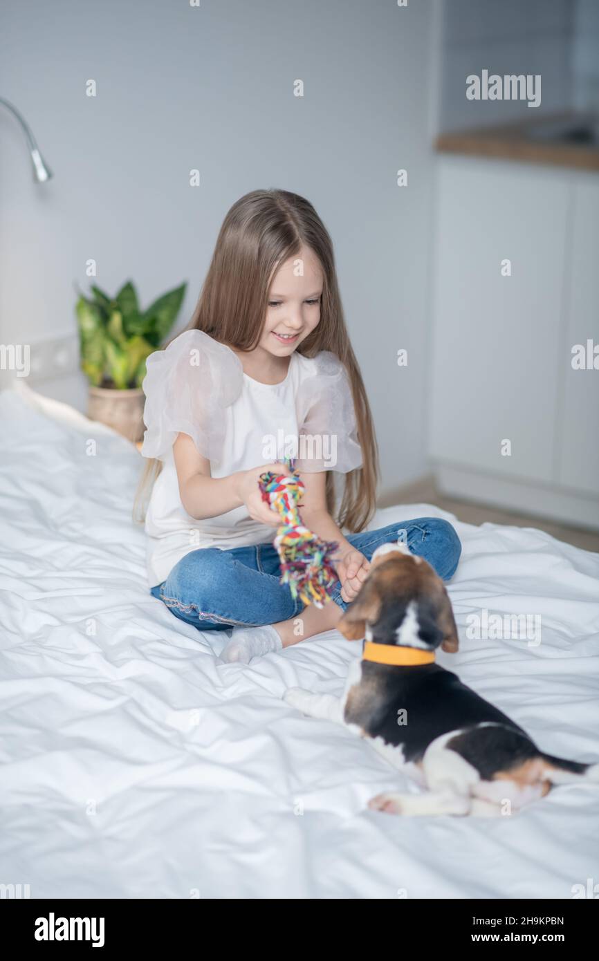 Enfant féminin concentré jouant avec son chien Banque D'Images