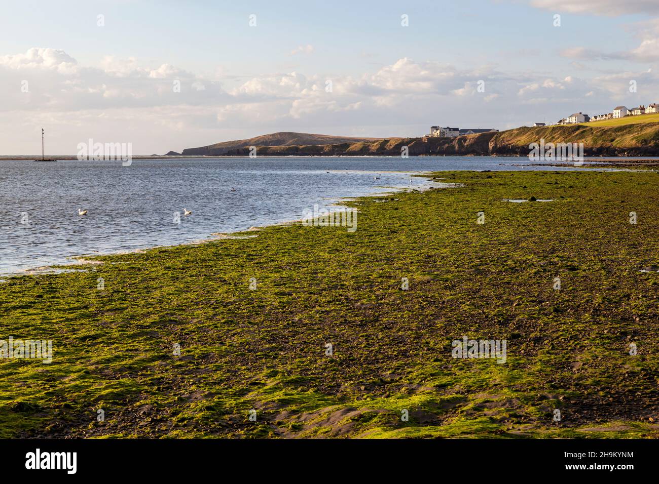 Vue sur l'île de Cardigan depuis l'embouchure de la rivière Teifi, Gwbert on Sea, Ceredigian, pays de Galles Banque D'Images