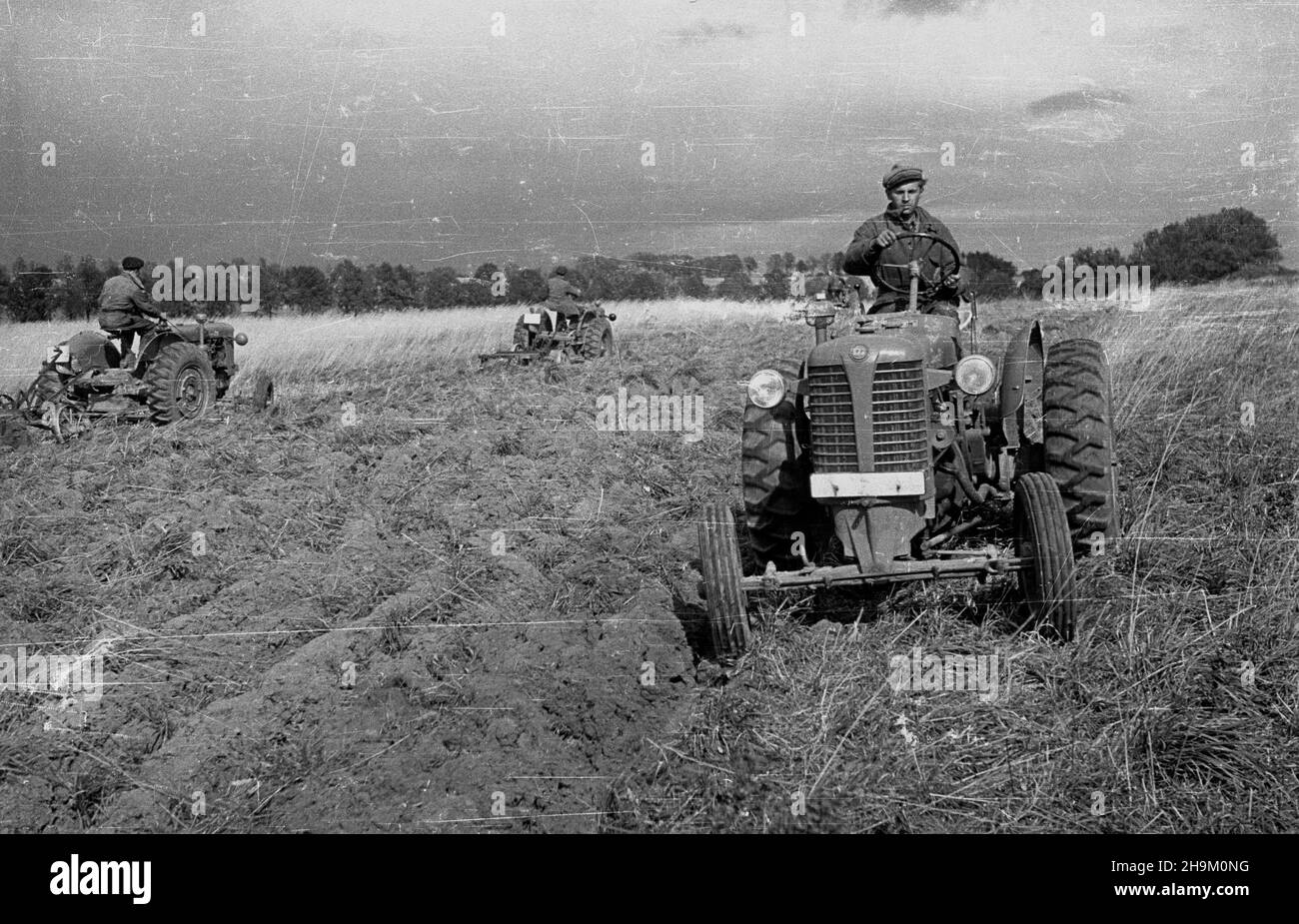 Warszyn, 1948-09.Brygada Traktorowa Zwi¹zku M³odzie¿y Polskiej pomaga W pracach polowych W maj¹tku Pañstwowych Nieruchomoœci Ziemskich (PNZ) W Warszaynie.traktorzyœci na czeskich traktorach Zedor 25. msa PAP Dok³adny dzieñ wydarzenia nieustalony.Warszyn, 1948 septembre.La brigade polonaise des tracteurs de l'Union de la jeunesse contribue au travail sur le terrain dans le domaine de la propriété foncière de l'État (PNZ) à Warszyn.Photo : conducteurs de tracteurs sur les tracteurs Zetor 25 tchèques. msa PAP Banque D'Images