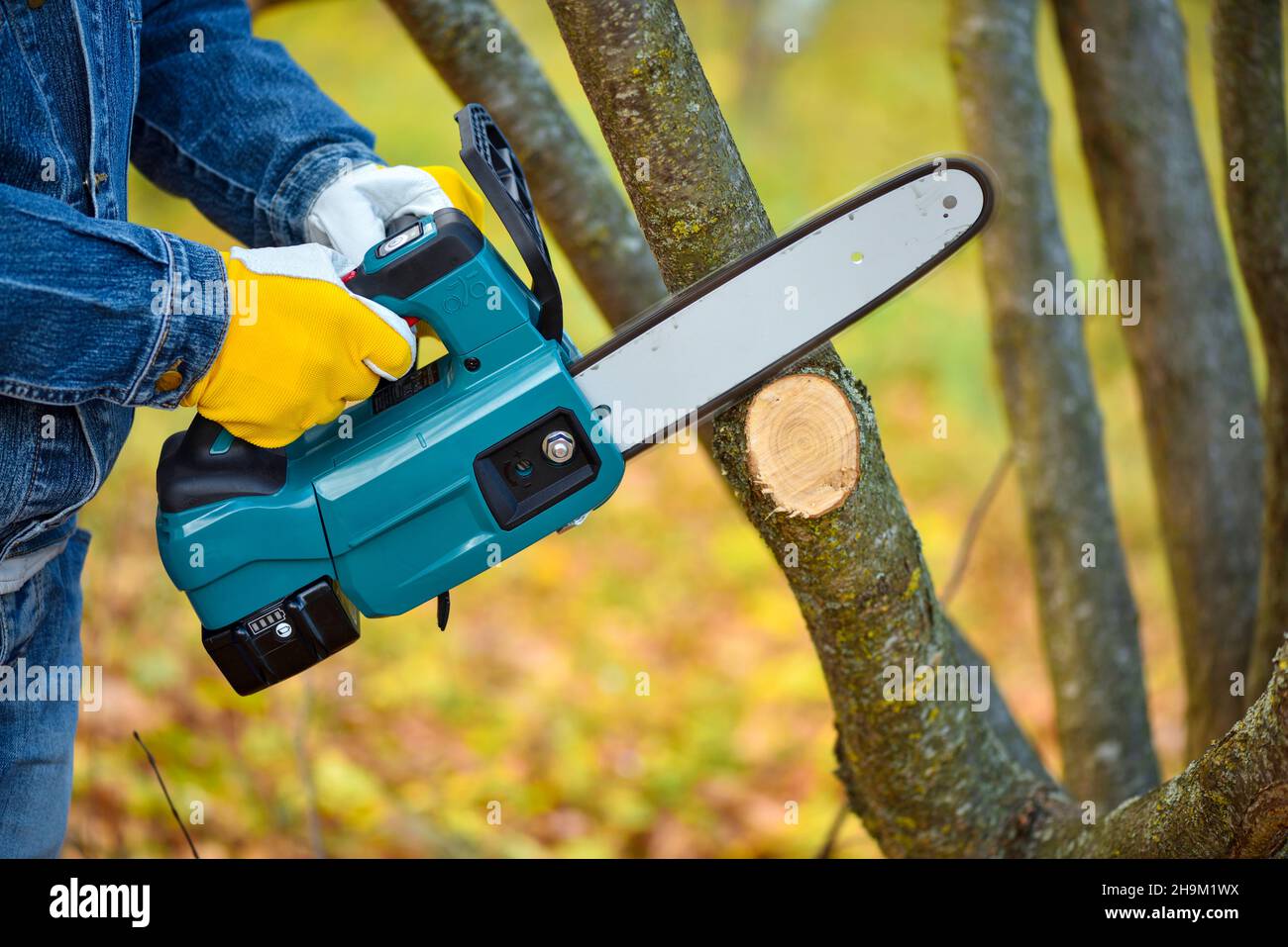 Un jardinier taille les arbres avec une tronçonneuse sans fil légère.Travaillez dans le jardin d'automne. Banque D'Images