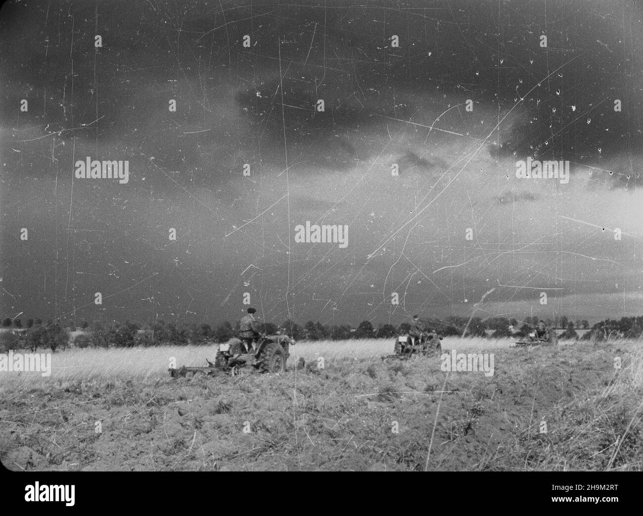 Warszyn, 1948-09.M³odzie¿owa Brygada Traktorowa Zwi¹zku M³odzie¿y Polskiej zosta³a utworzona W paŸdzierniku 1947 r.OD pocz¹tku lipca 1948 r. pracowa³a przy zaorywaniu ugorów W maj¹tku Pañstwowego Zarz¹du Nieruchomoœci Ziemskich W Warszynie ko³o Stargardu Szczeciñskiego. pw PAP Dok³adny dzieñ wydarzenia nieustalony.Warszyn, 1948 septembre.La Brigade des jeunes tracteurs de l'Union polonaise de la jeunesse a été formée en octobre 1947.Depuis le début de juillet 1948, elle a travaillé à labourer des terres en jachère dans la propriété de l'administration immobilière de l'État à Warszyn, près de Stargard Szczecinski. pw PAP Banque D'Images