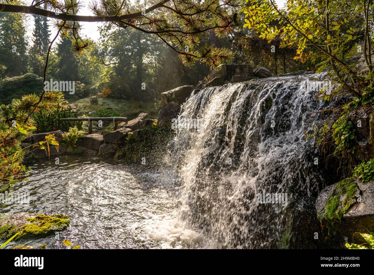 Le Grugapark, Essen, jardin botanique, parc de loisirs et de loisirs, alpinum, cascade, automne, NRW,Allemagne, Banque D'Images