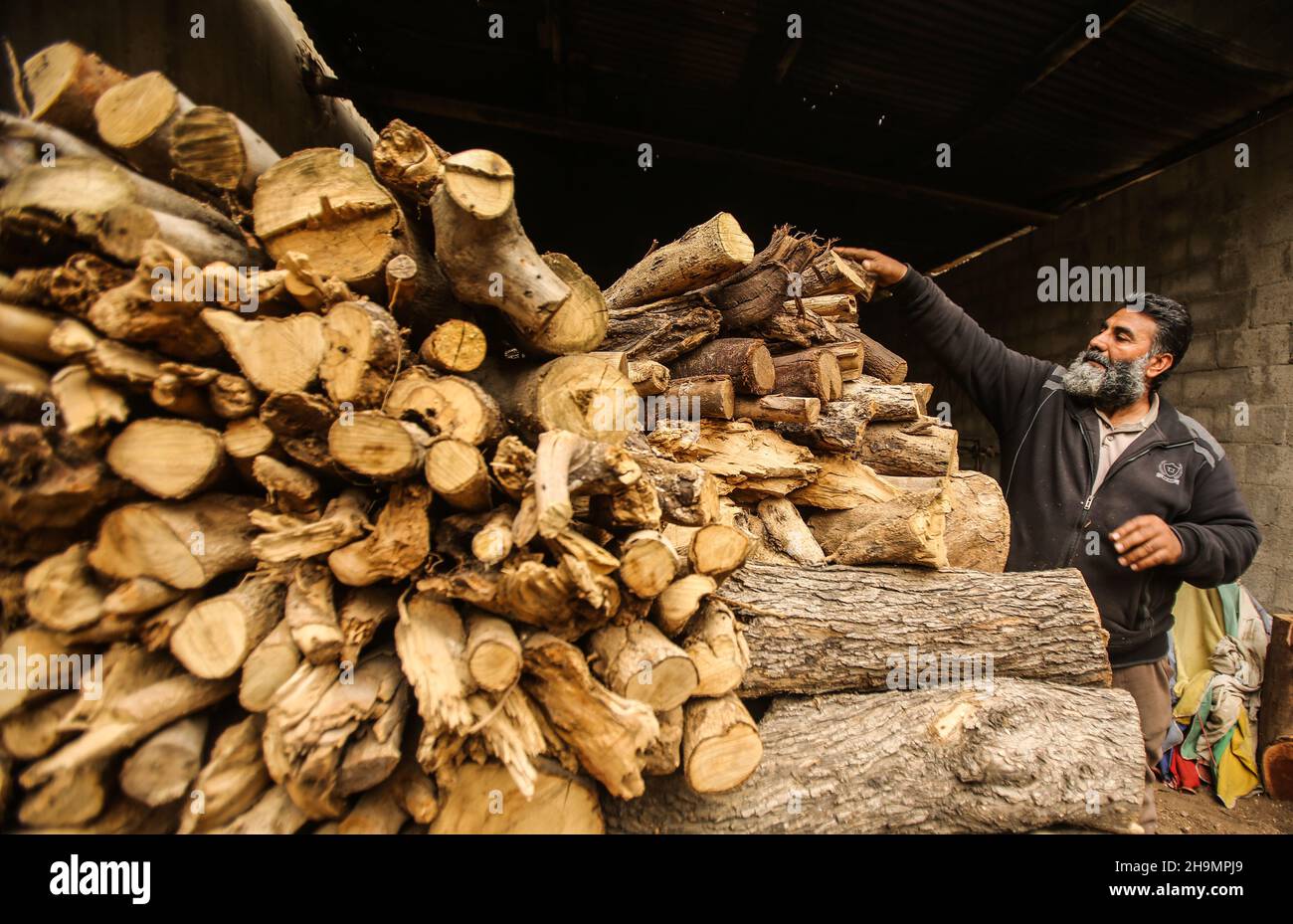 Gaza, Palestine.07ème décembre 2021.Pile de bois vue à l'atelier.Raed Abd El-Aal 52 ans, travaille comme bûcheron depuis trente ans dans la ville de Gaza avec ses fils;Tamer, 25 ans et Soliman, 12 ans, peut couper 150 tonnes d'arbres en 24 heures seulement, il a également une équipe qui l'aide à transférer et à recueillir les arbres des champs de la bande de Gaza.(Photo par Ahmed Zakot/SOPA Images/Sipa USA) crédit: SIPA USA/Alay Live News Banque D'Images