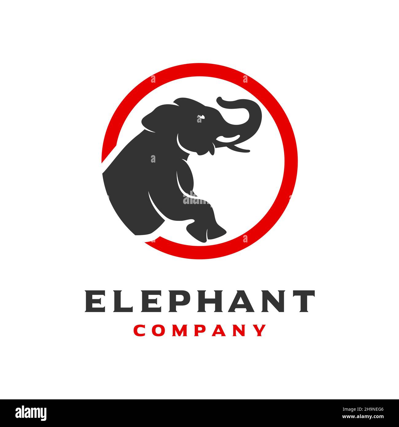 modèle de conception du logo elephant Banque D'Images