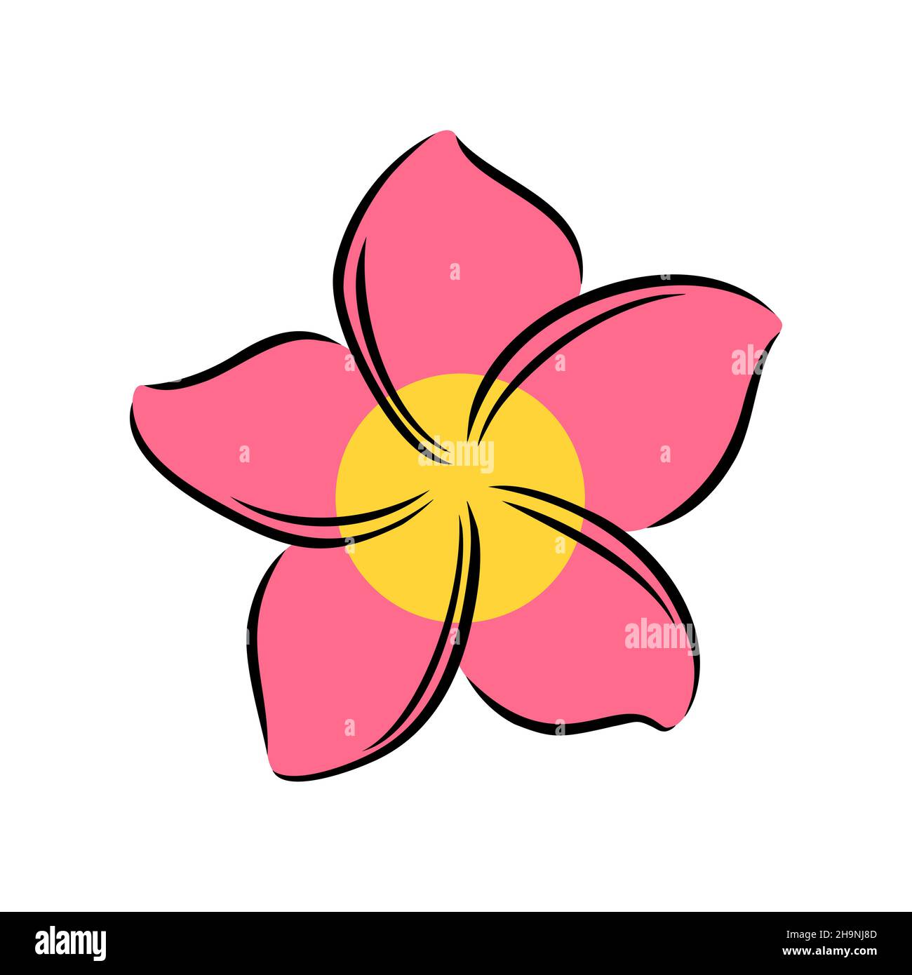 Frangipani ou plumeria fleurs exotiques d'été.Frangipani gravé isolé sur fond blanc.Illustration vectorielle Illustration de Vecteur