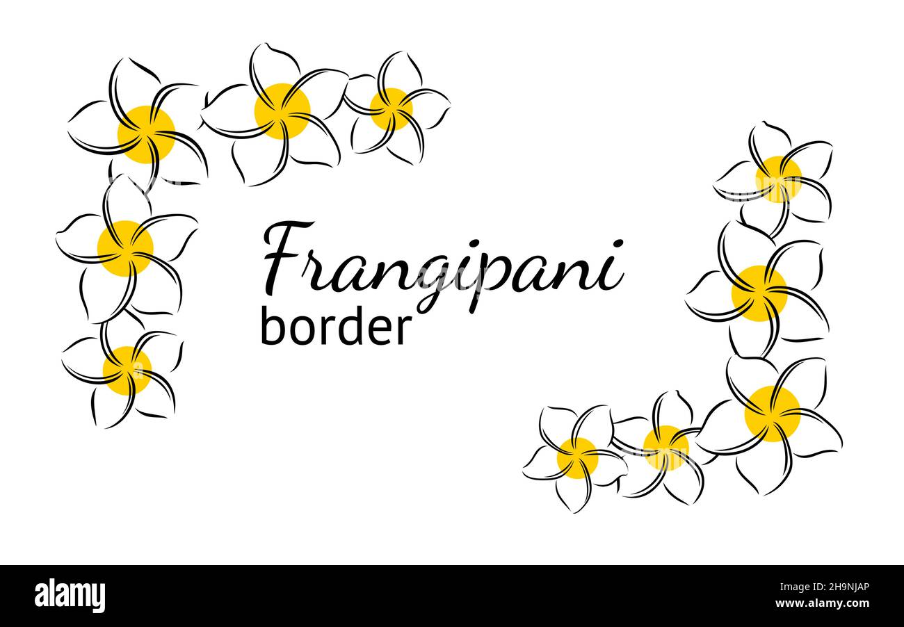 Frangipani ou plumeria fleurs exotiques d'été.Frangipani gravé isolé sur fond blanc.Illustration vectorielle Illustration de Vecteur