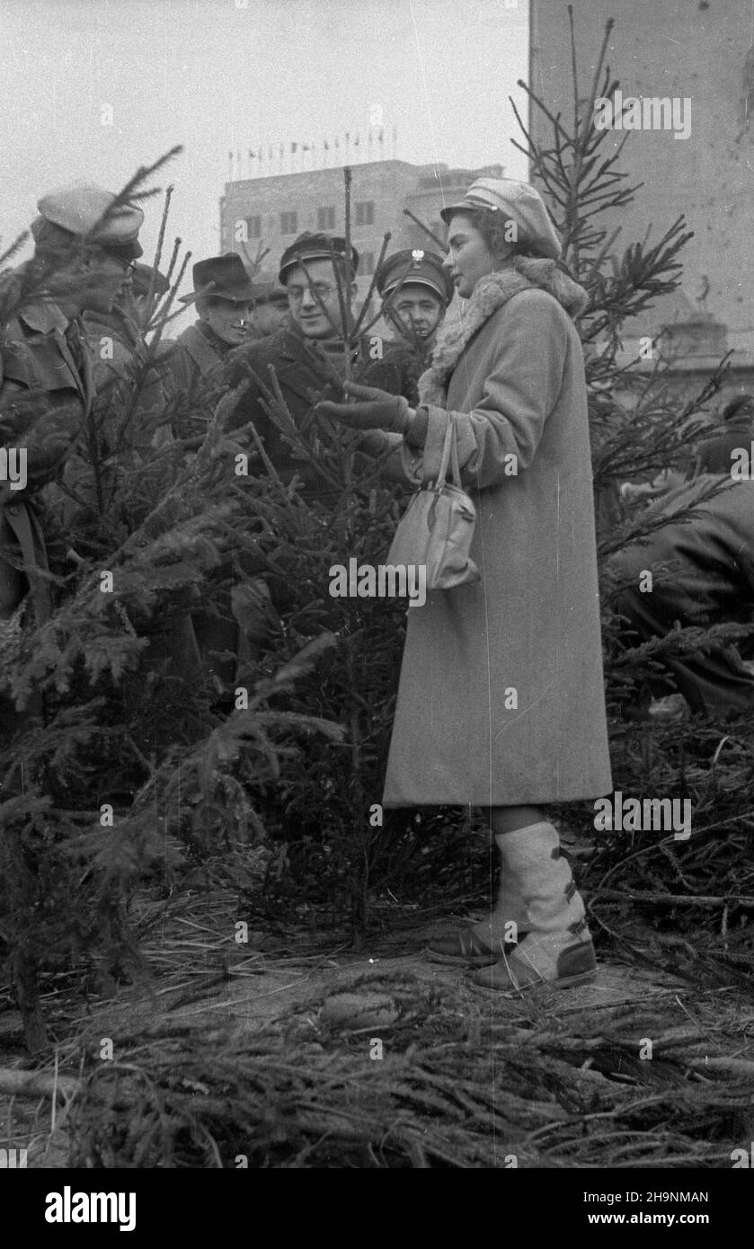 Varsovie, 1948-12.Sprzeda¿ choinek przed œwiêtami Bo¿ego Narodzenia, zorganizowana przez Spó³dzielniê Las na placu W Œródmieœciu. wb PAP Dok³adny dzieñ wydarzenia nieustalony.Varsovie, décembre 1948.Arbre de Noël vendant avant Noël, organisé par la Coopérative Las dans une place dans le centre-ville. wb PAP Banque D'Images