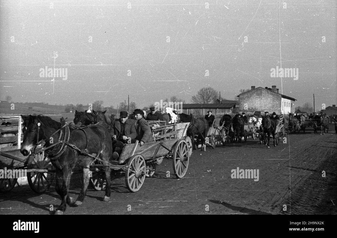 RAWA Mazowiecka, 1949-01-01.RAWA Mazowiecka, 1949.Tung oraz skup produktów rolnych od okolicznych mieszkañców, prowadzony przez Gminn¹ Spó³dzielniê Samopomoc Ch³opska. pw PAP Dok³adny miesi¹c i dziewydarzenia nieustalone.RAWA Mazowiecka, 1949.Le marché et l'achat de produits agricoles auprès des agriculteurs locaux par le District Cooperative paysan Self-Help. pw PAP Banque D'Images